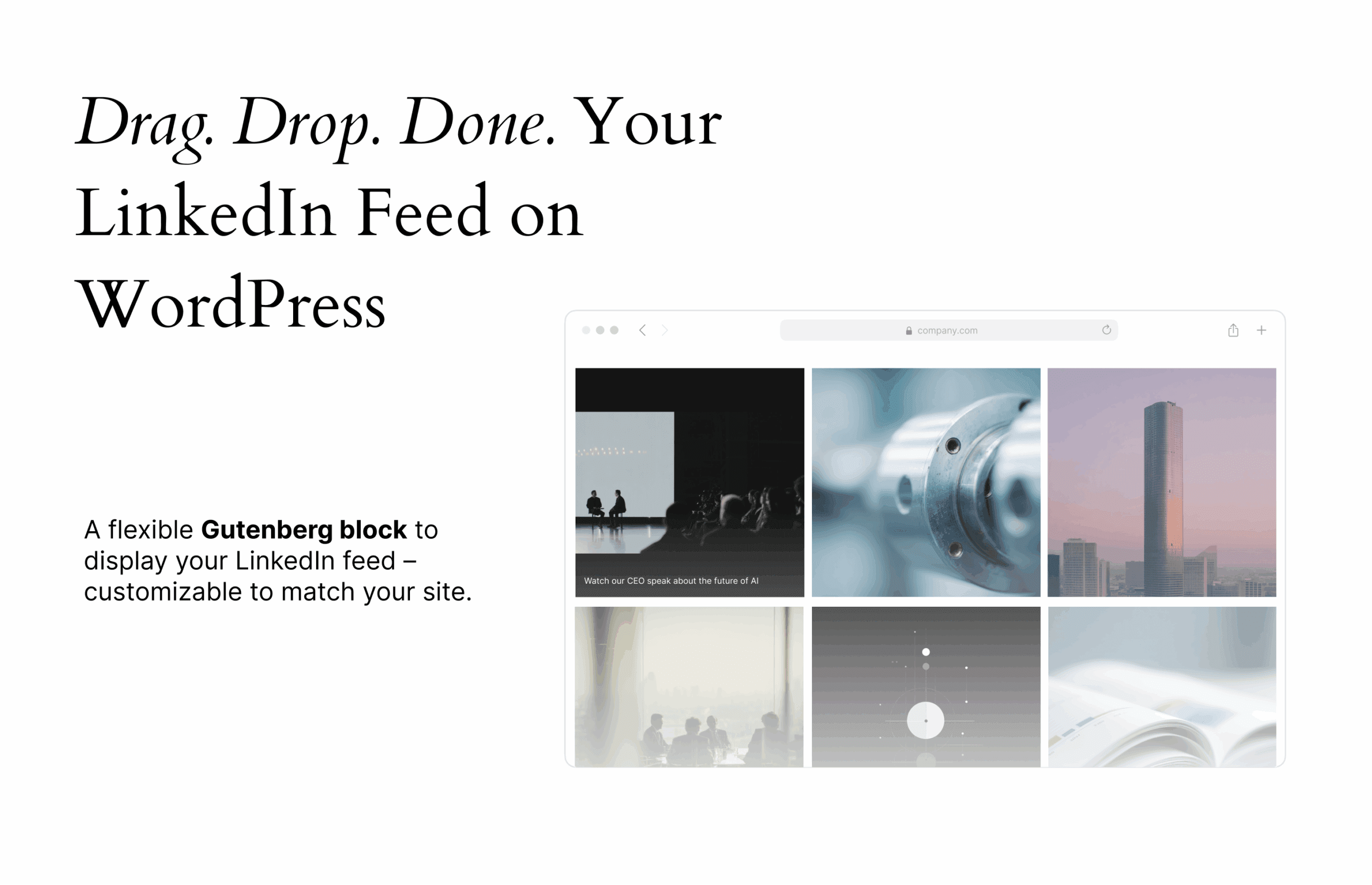 ProFeedWP – Your Company’s LinkedIn Feed on WordPress - Image 1